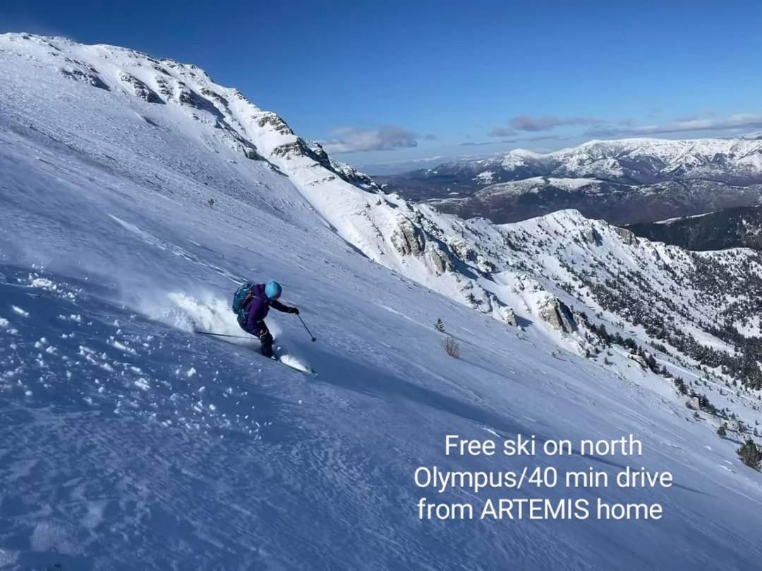 Artemis Home Pétra 외부 사진